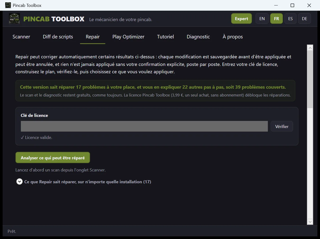 Capture de l'onglet Repair de Pincab Toolbox : une introduction, un cadre récapitulatif, le champ de la clé de licence et le bouton pour analyser ce qui peut être réparé.